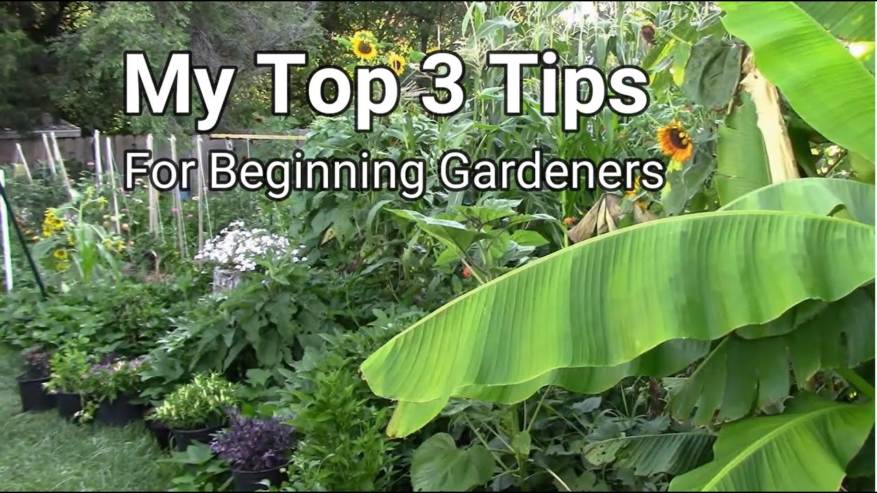 My Top 3 Gardening Tips For Beginning Gardeners  Tips For Beginners