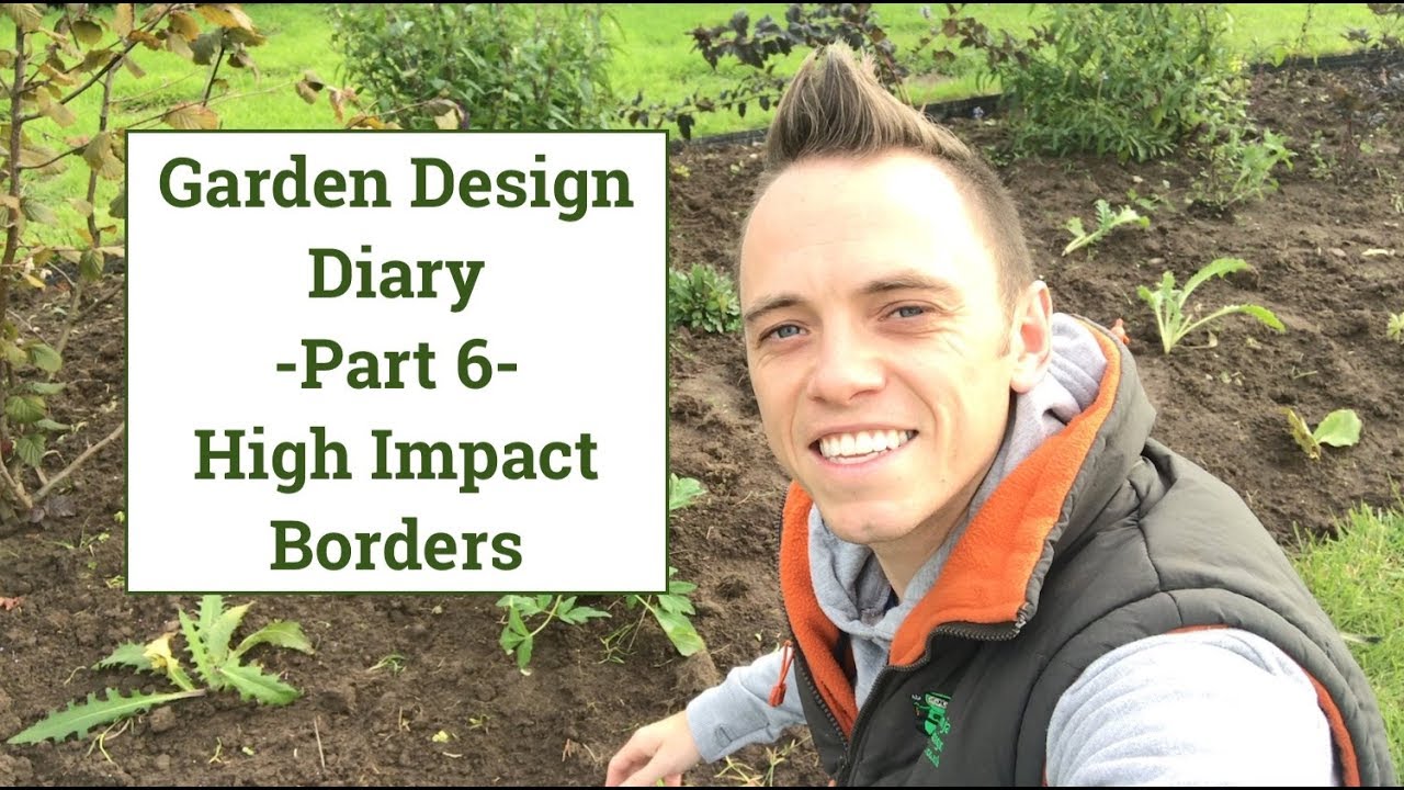 Garden Design Diary 6 High Impact Garden Border Ideas