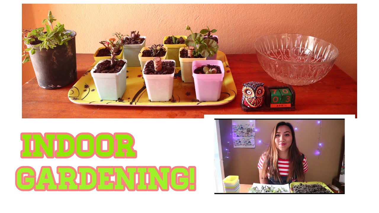 Indoor Gardening at Nepali Rs.1000?