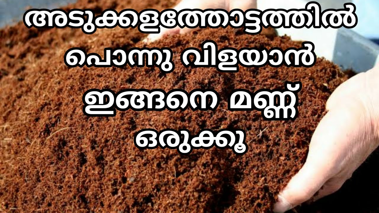 മികച്ച രീതിയിൽ പച്ചക്കറി കൃഷിക്ക് മണ്ണൊരുക്കാൻ | how to prepare soil for vegetable garden malayalam