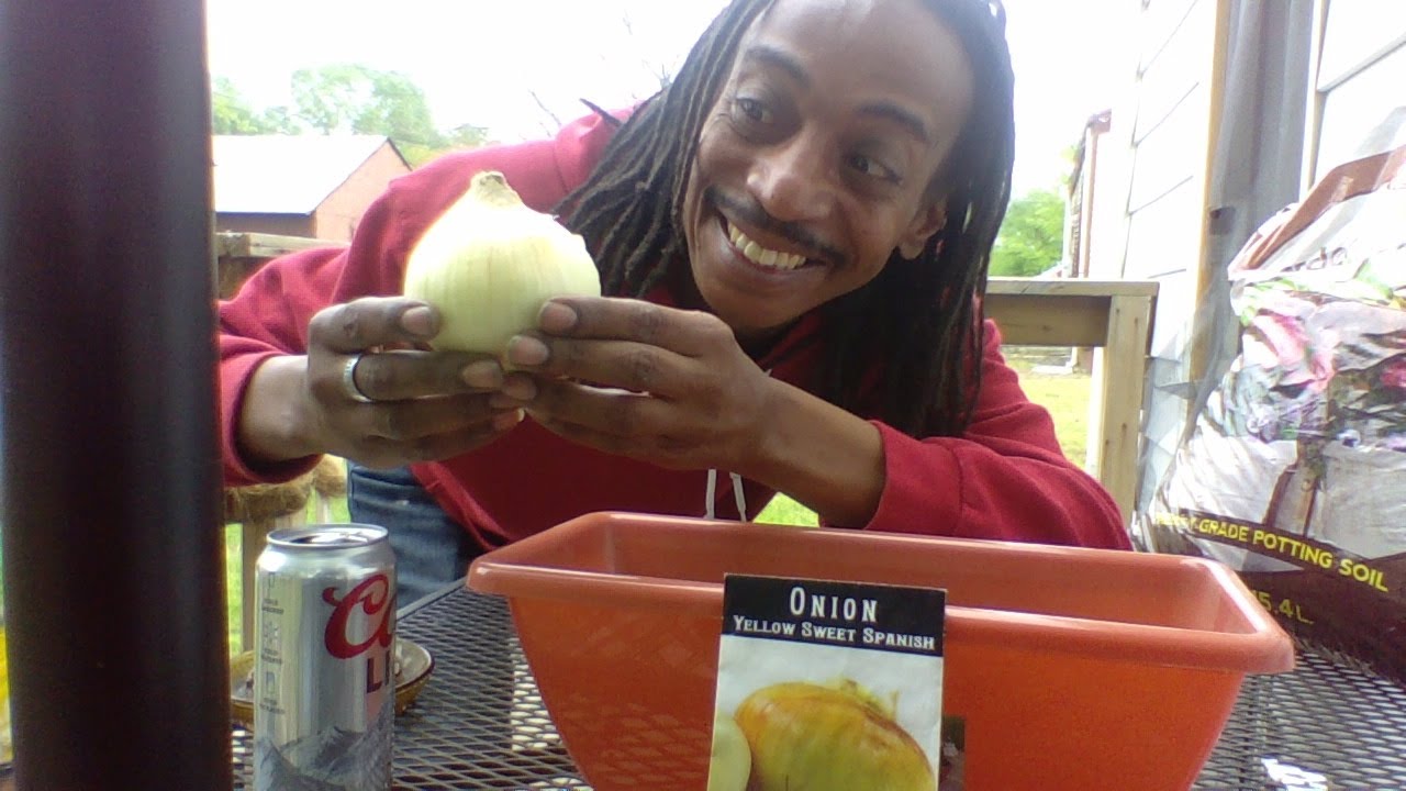 ONIONS  How To GROW FROM SEED  Gardening For Beginners  Cheap & Easy  Start Now  Grow Your Food