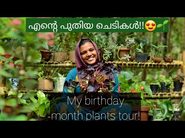 My new plants tour with price/ bamboo plant stand and vegetable garden update by Botanical Woman.