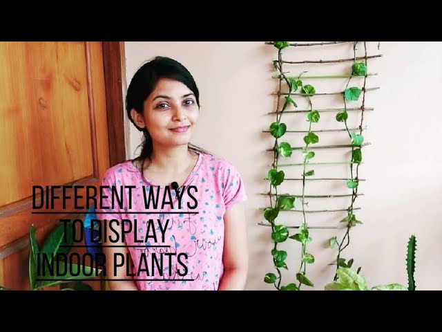 Different ways to display indoor plants/ diy indoor garden/ reuse and recycle