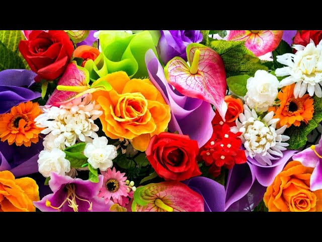A to Z Flower names || A to Z flowers || Beautiful flower garden || Amazing flower collection