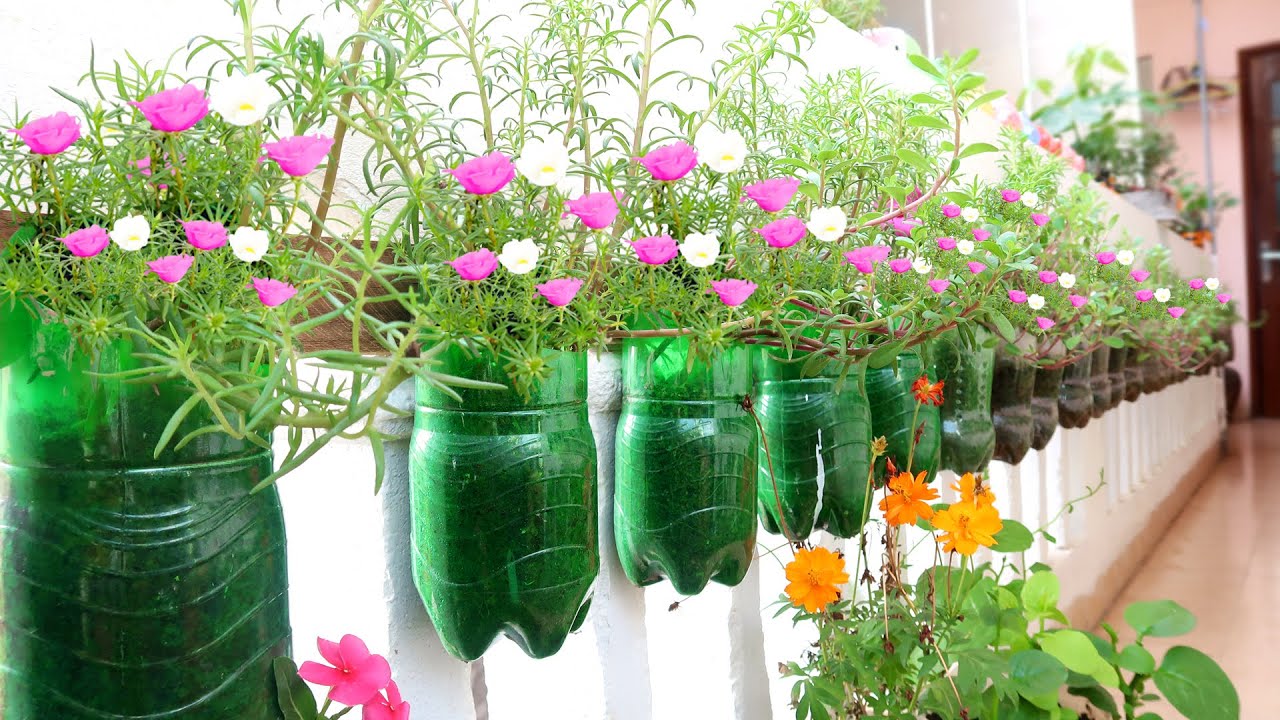 Amazing Vertical Garden for Balcony and Small Spaces, Gardening on Railing