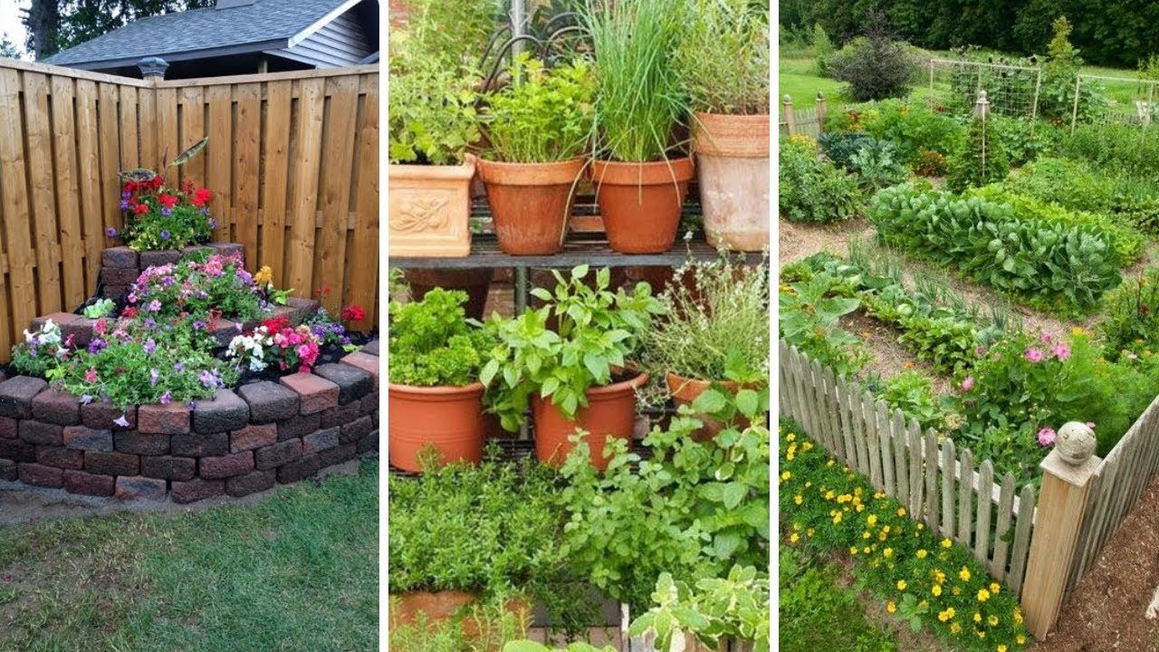10 Backyard Vegetable Garden ideas