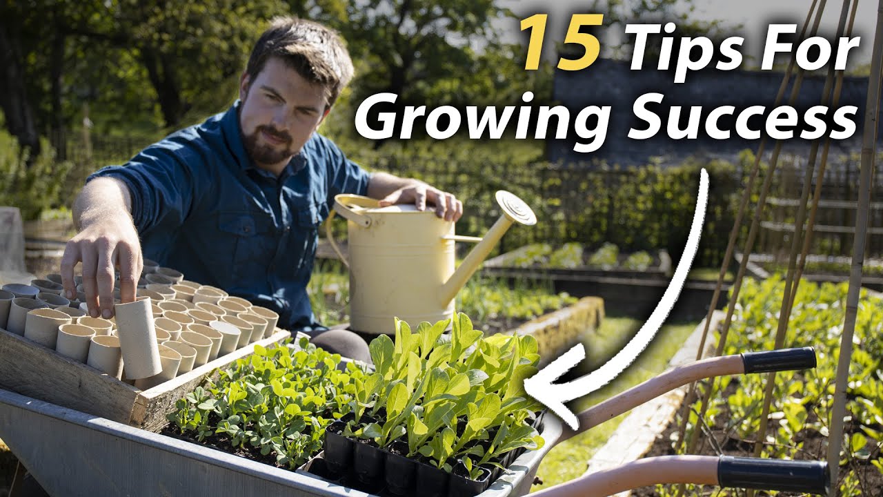 15 Vegetable Gardening Tips EVERY Beginner Should Know | Invaluable Grow Your Own Tips