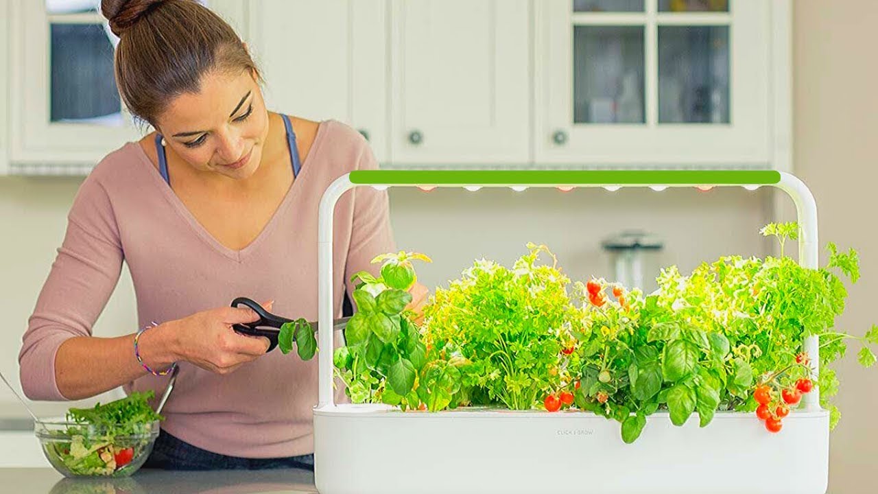 5 Best Indoor Hydroponic Gardening Systems for Your Home