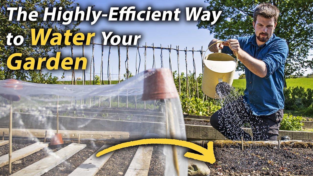 Simple Watering Tips and Tricks for the Vegetable Garden | Highly-Effective Watering Methods