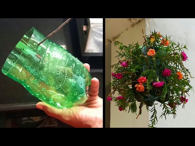 Amazing Plastic Bottle Vertical Garden Ideas | Plastic Bottles On Walls