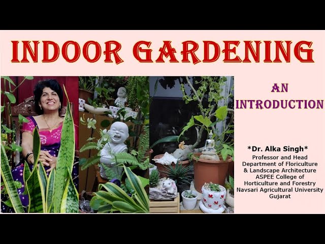 Indoor Gardening: An Introduction