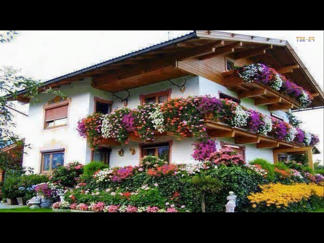 House and Flower  The Most Beautiful House in the world