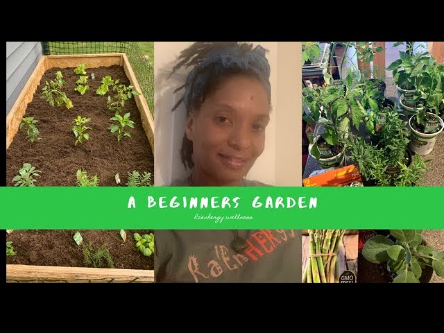 A BEGINNERS GARDEN