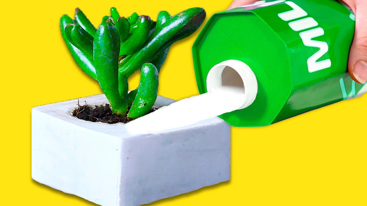 31 GARDENING LIFE HACKS TO TURN YOU INTO A LANDSCAPE DESIGNER