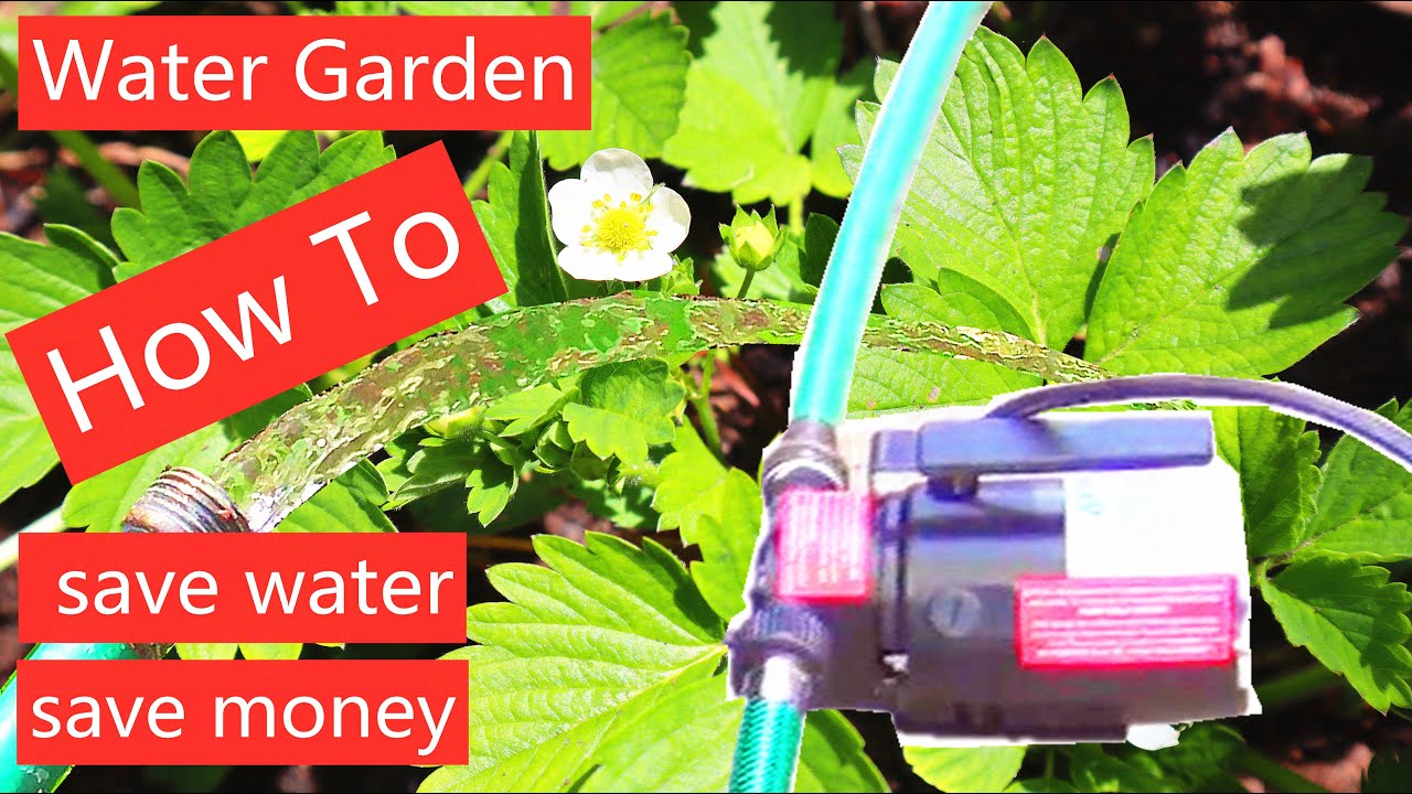 Gardening hacks,How to save water when watering garden. Beautiful gharden ideas help you save money.
