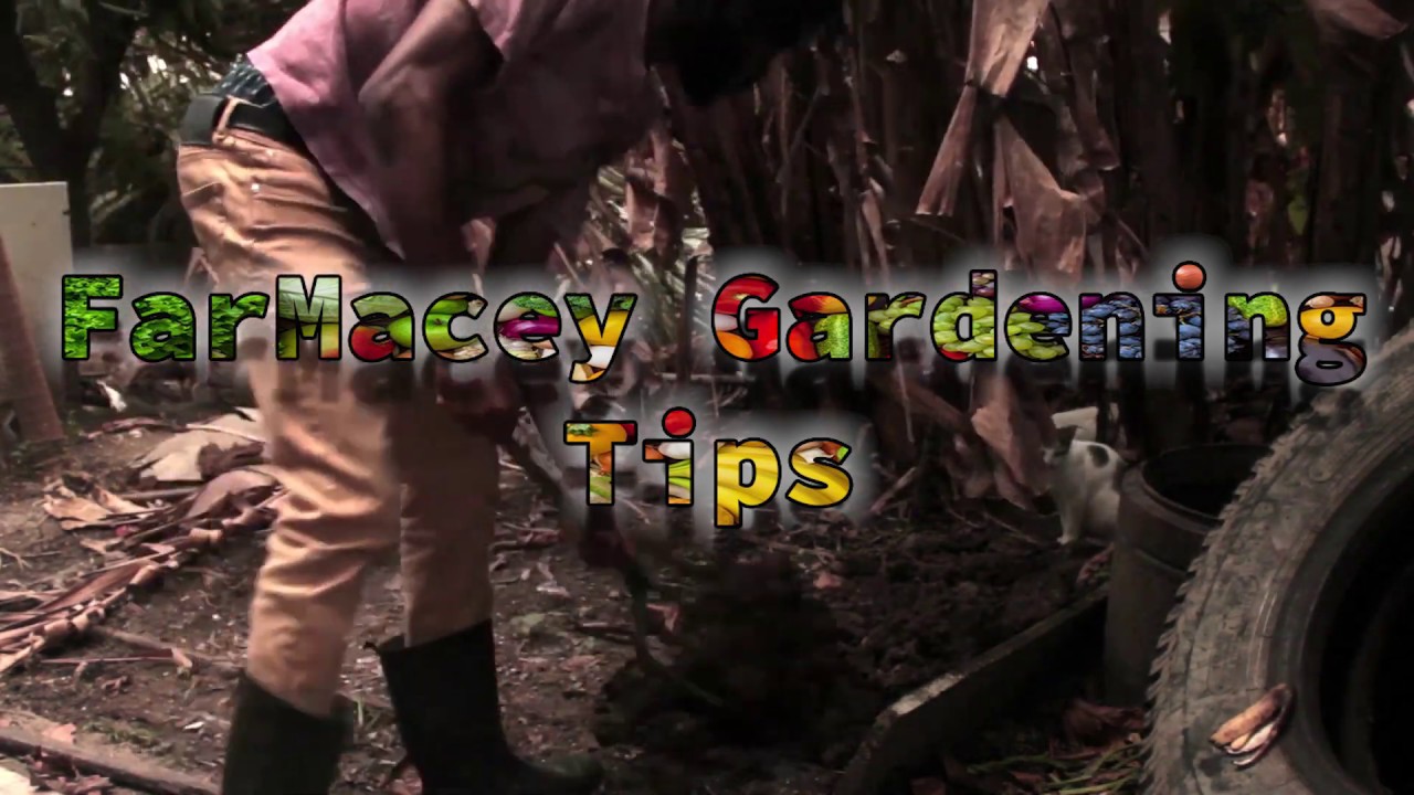 FarMacey Gardening Tips