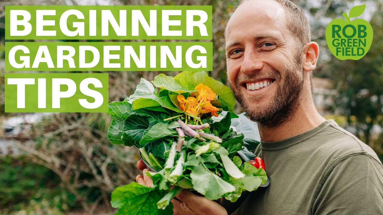 Beginner Gardening Tips for a Successful Garden  Grow Your Own Food!