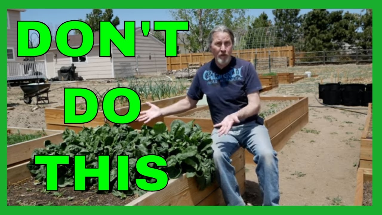Lessons for Beginner Gardeners (9 Tips)