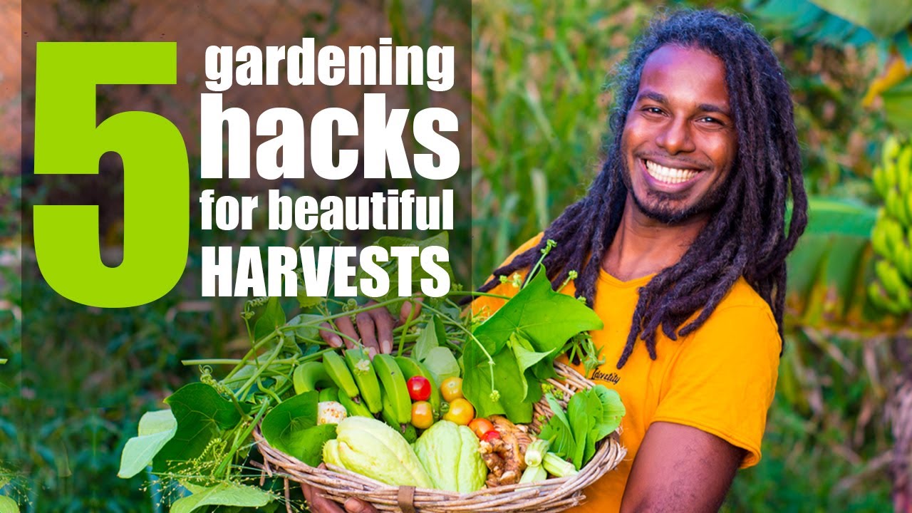 5 Gardening Hacks For Beautiful Harvests ( Hacks in description )