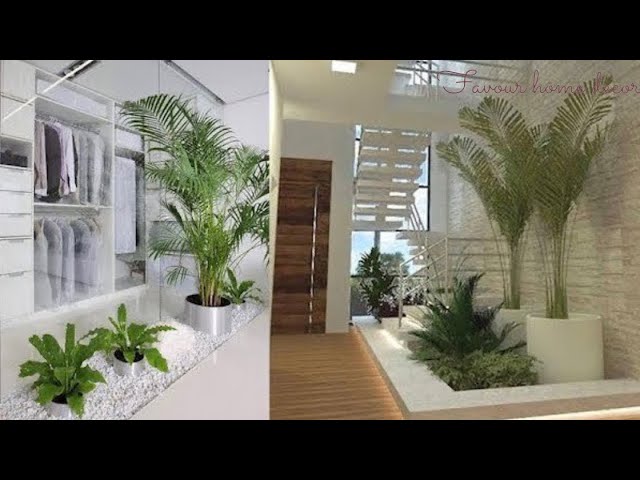 Beautiful Indoor Garden Plants Interior Ideas