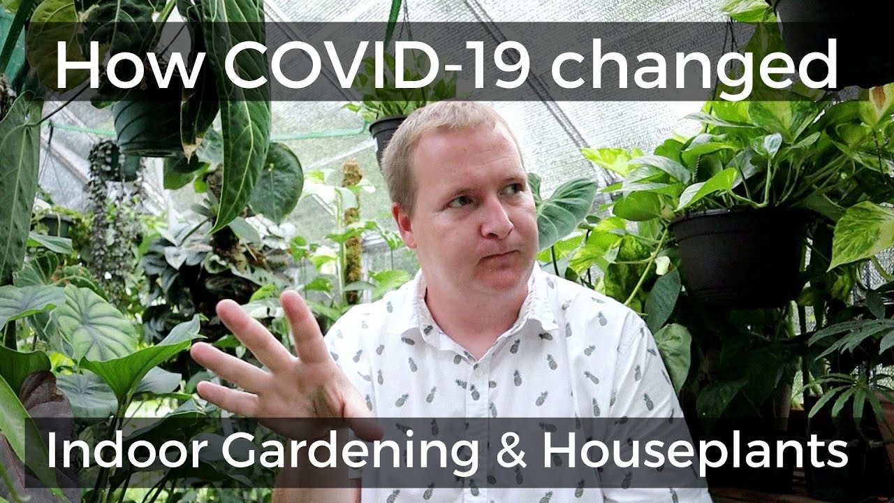 How the COVID Pandemic Changed Houseplants & Indoor Gardening in 2020 | Ep 92