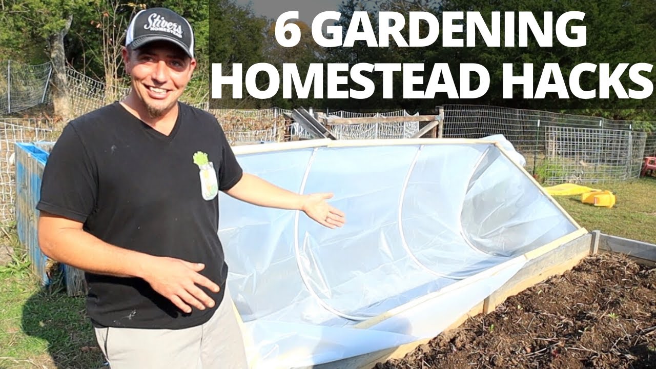 6 Money Saving Homestead Gardening Hacks