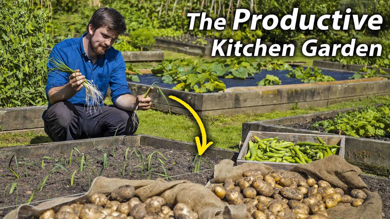 3 Simple Ways to get LOADS More Food from Your Vegetable Garden | How I Increased My Gardens Yields