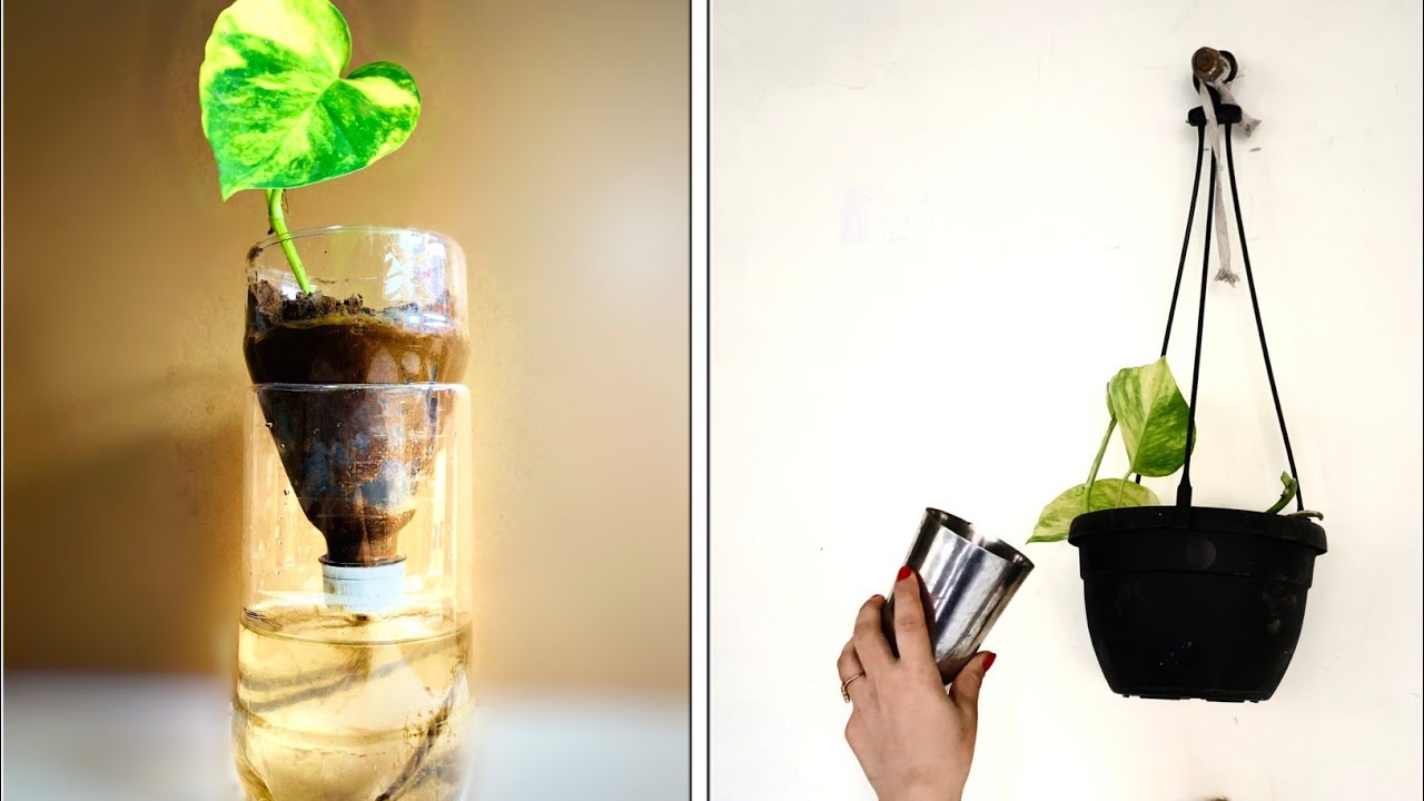 10 Gardening Hacks From Waste You Should Know | Self Watering System | Garden Decoration