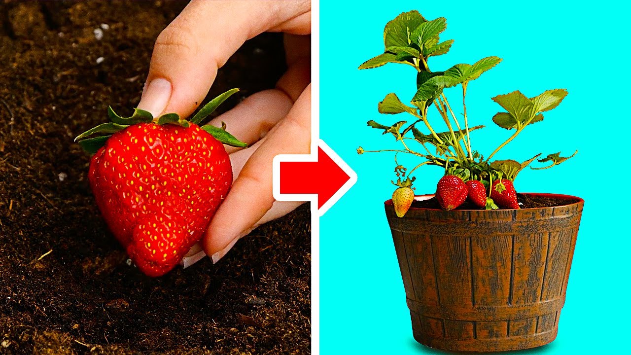 45 GARDENING HACKS THAT WILL BLOW YOUR MIND
