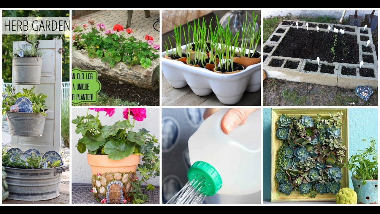 Amazing Gardening Hacks youll know! | Hacks & Ideas