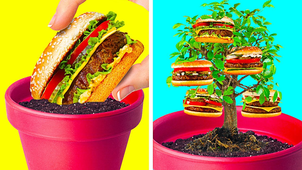 35 QUICK WAYS TO GROW YOUR MINI GARDEN AT HOME
