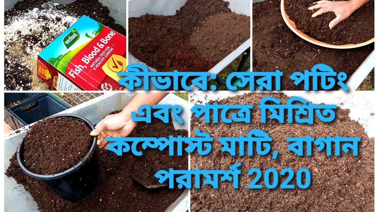 How to: The best potting & container mixed compost soil | Gardening tips 2020 | UK Shokher bagan |