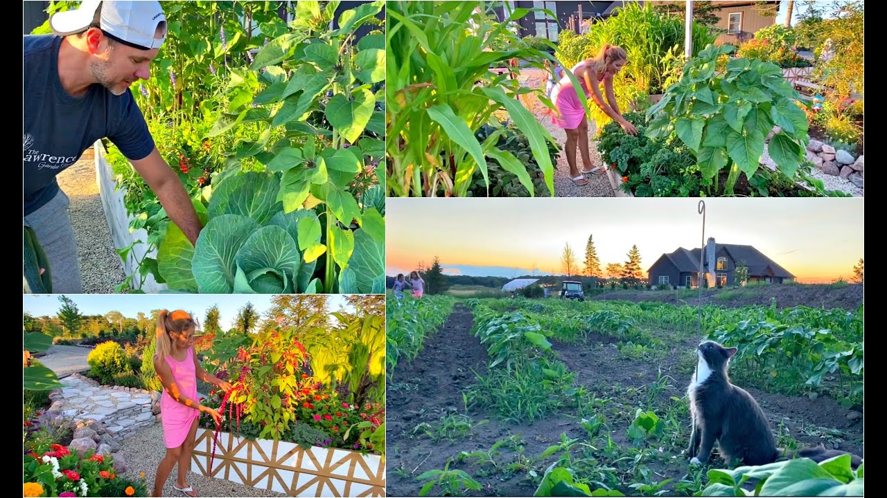 Vegetable Garden Tour | Eating in the Garden // The Lawrence Garden Farm