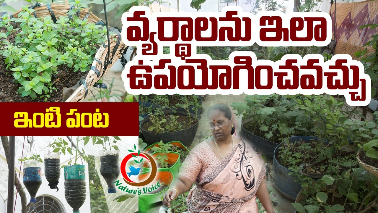Terrace Gardening | Reused Container Gardening Ideas