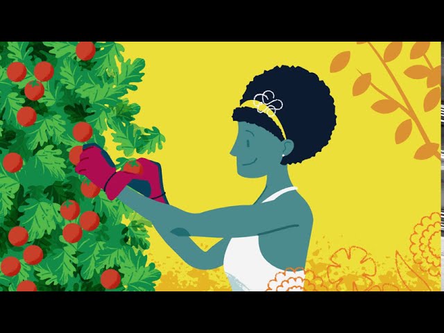 Miraculous Gardening Tips