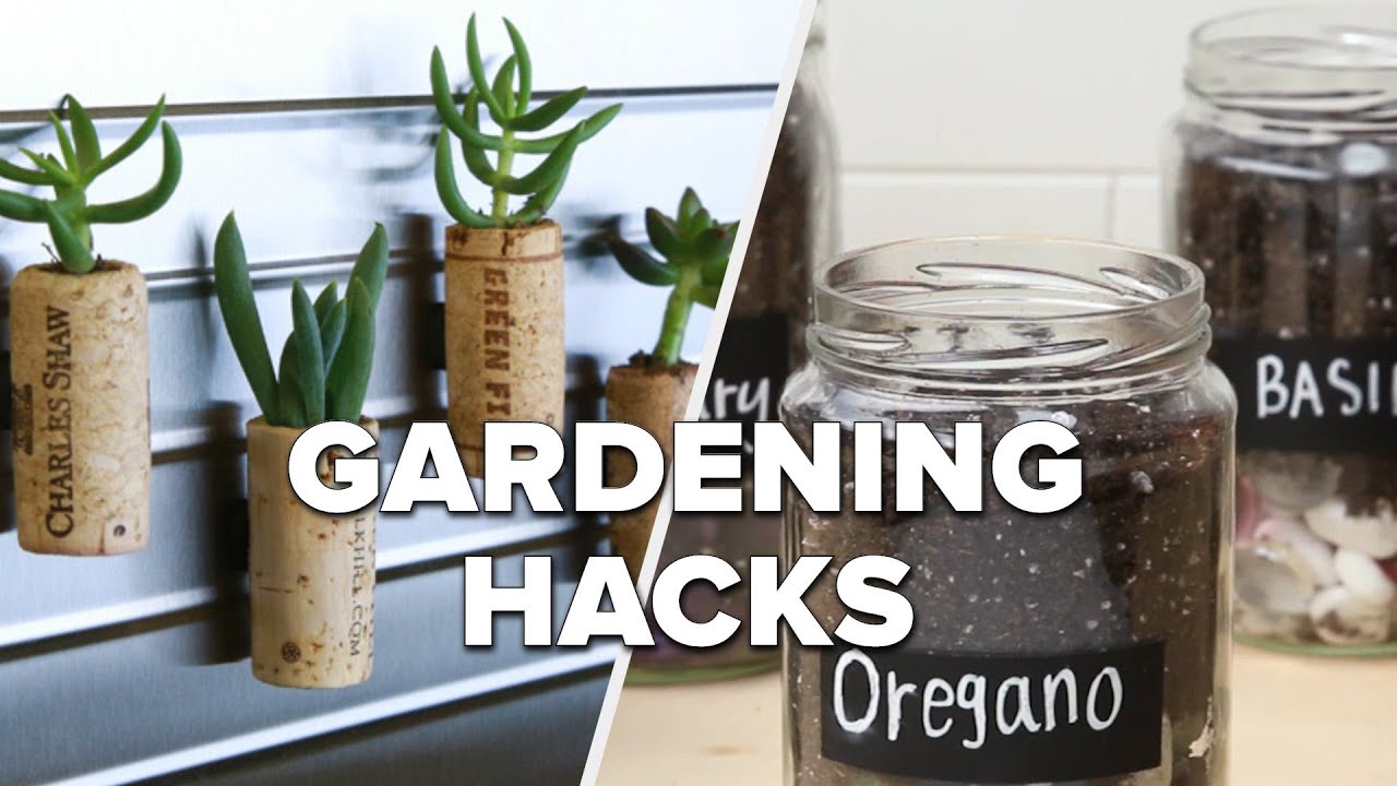 Hacks for Effortless Gardening