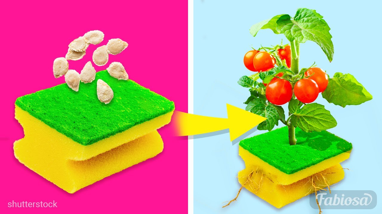10 insane gardening hacks for your best at-home garden ever! Easy DIY