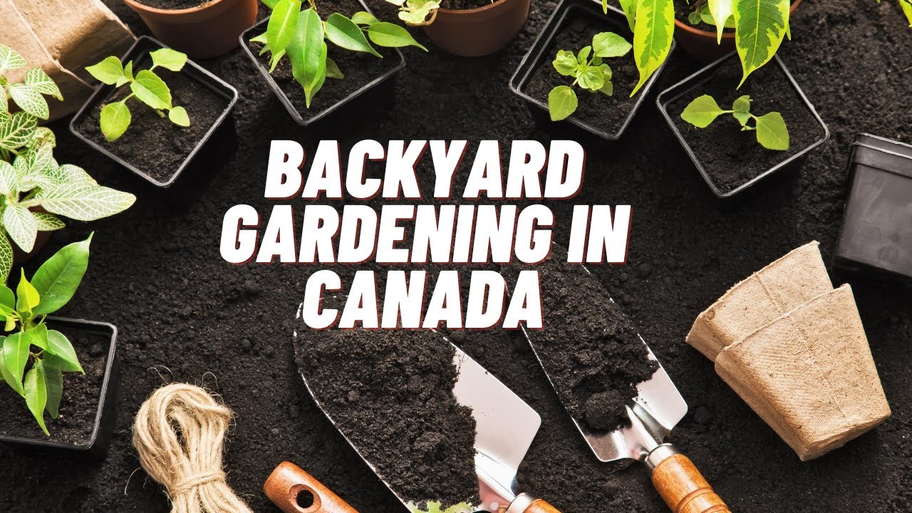 Backyard Gardening in Canada | Growing a Vegetable garden |MomCafe