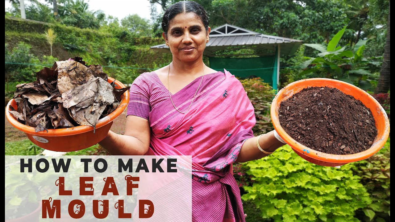 How to make Leaf Mould | Easy way | Garden tips | Home garden(Malayalam)