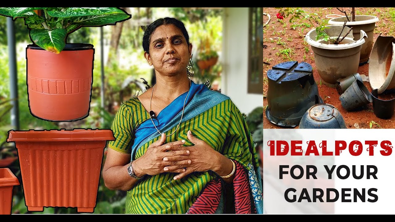 Ideal Pot for Your Garden | Tips for Beginners | Home Garden (Malayalam)