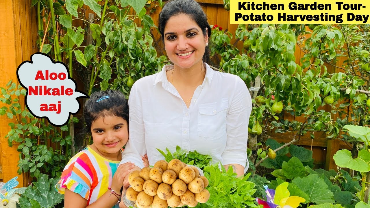 Kitchen Garden in England- AALU Nikalte hai aaj| Vegetable Garden Tour in England|The Sangwan Family