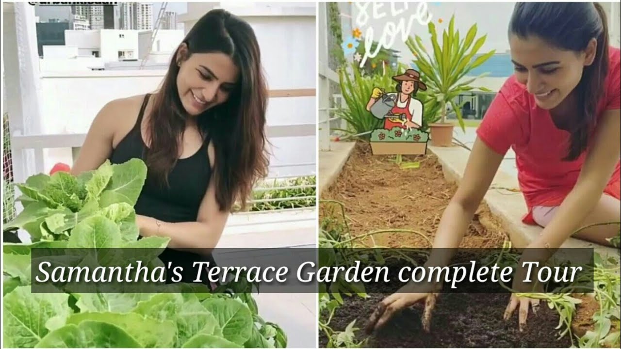 Samantha akkineni sharing gardening tips and methods for balcony & terrace garden | full garden tour