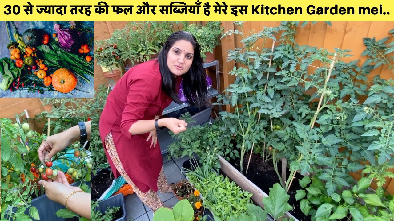 Our Vegetable Garden in England|Small Little Kitchen Garden with lot’s of Vegetables|Sangwan Family
