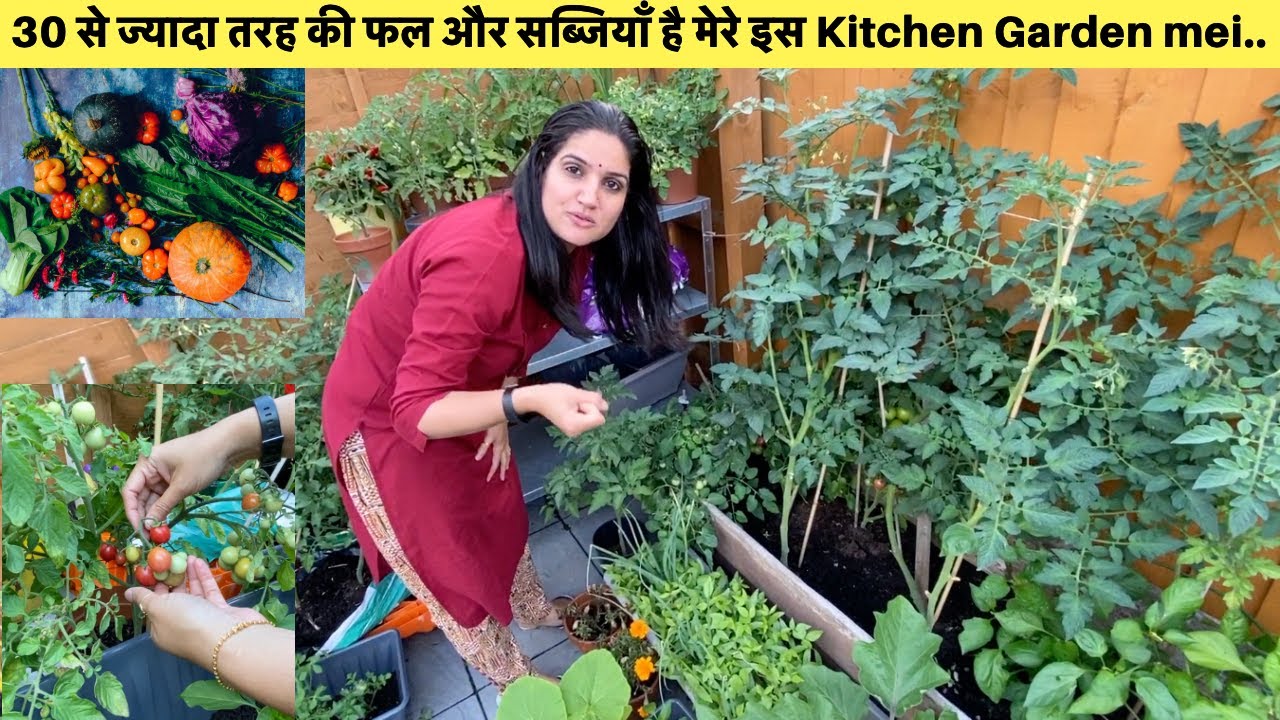 Our Vegetable Garden in England|Small Little Kitchen Garden with lots of Vegetables|Sangwan Family