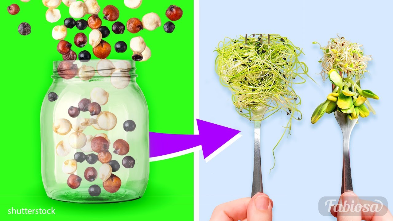 How to germinate seeds? 10 surprising hacks for you indoor garden | Gardening