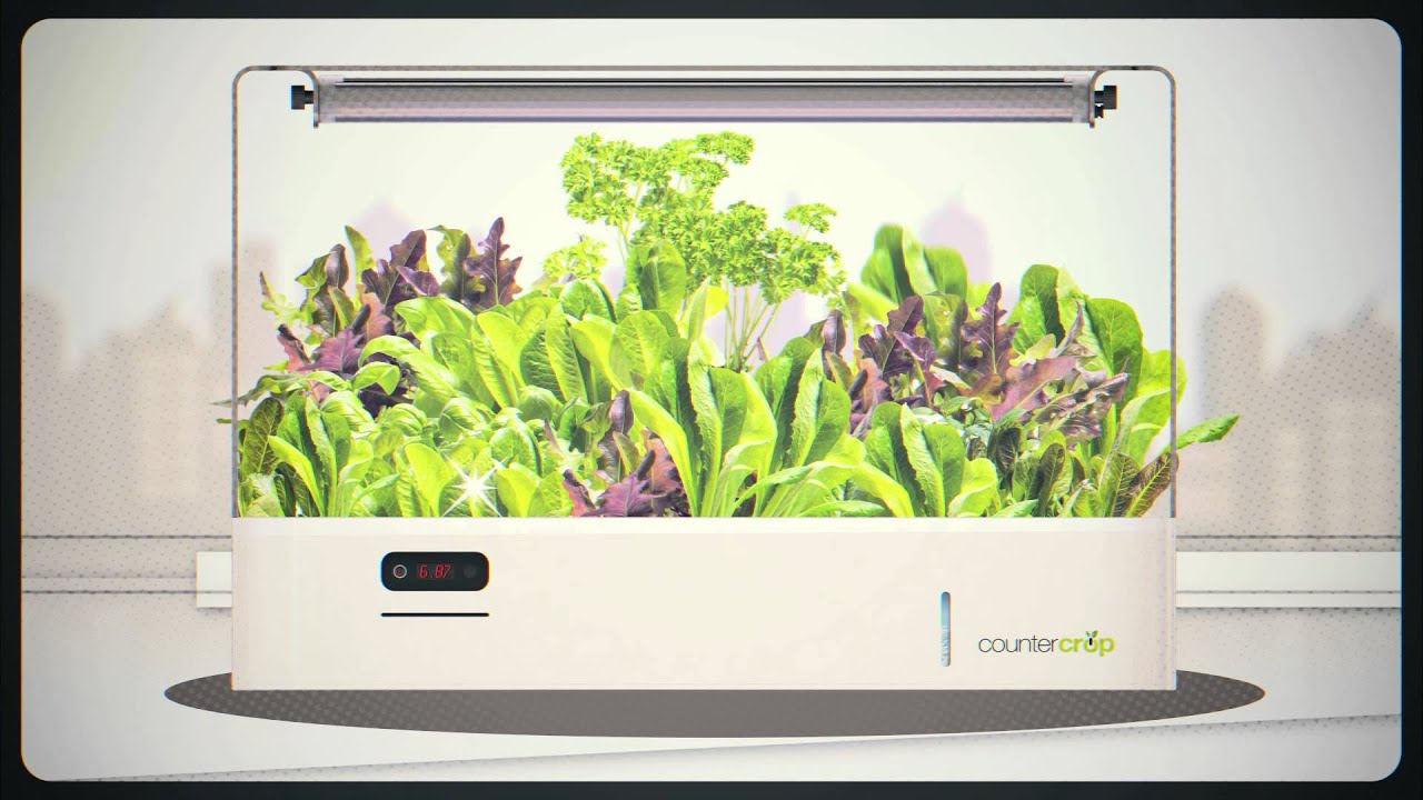 CounterCrop  A Smart Indoor Garden for Your Countertop