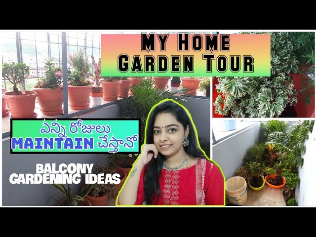 Home garden tour||Balcony Gardening ideas||New Plantation||Hanging plants||Home series