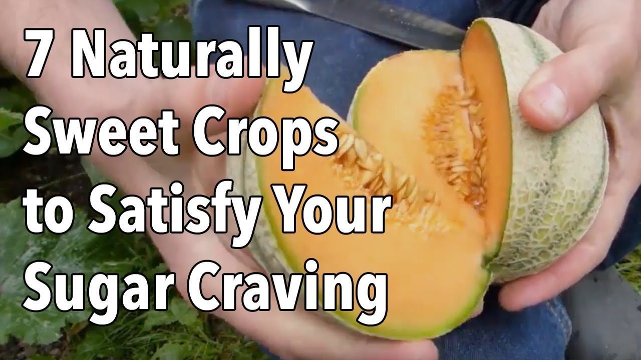 7 Naturally Sweet Crops to Grow in Your Vegetable Garden