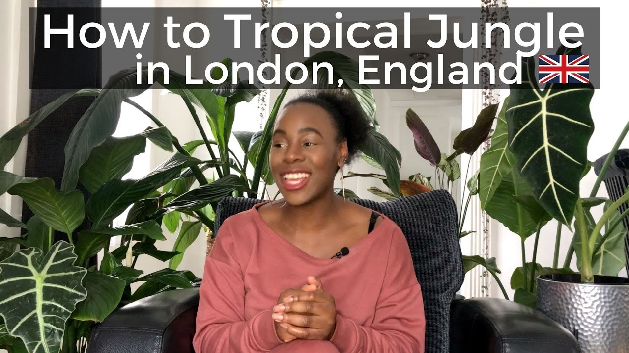 Indoor Gardening in London England | Plants of Instagram | Tropical Houseplants | Ep 103