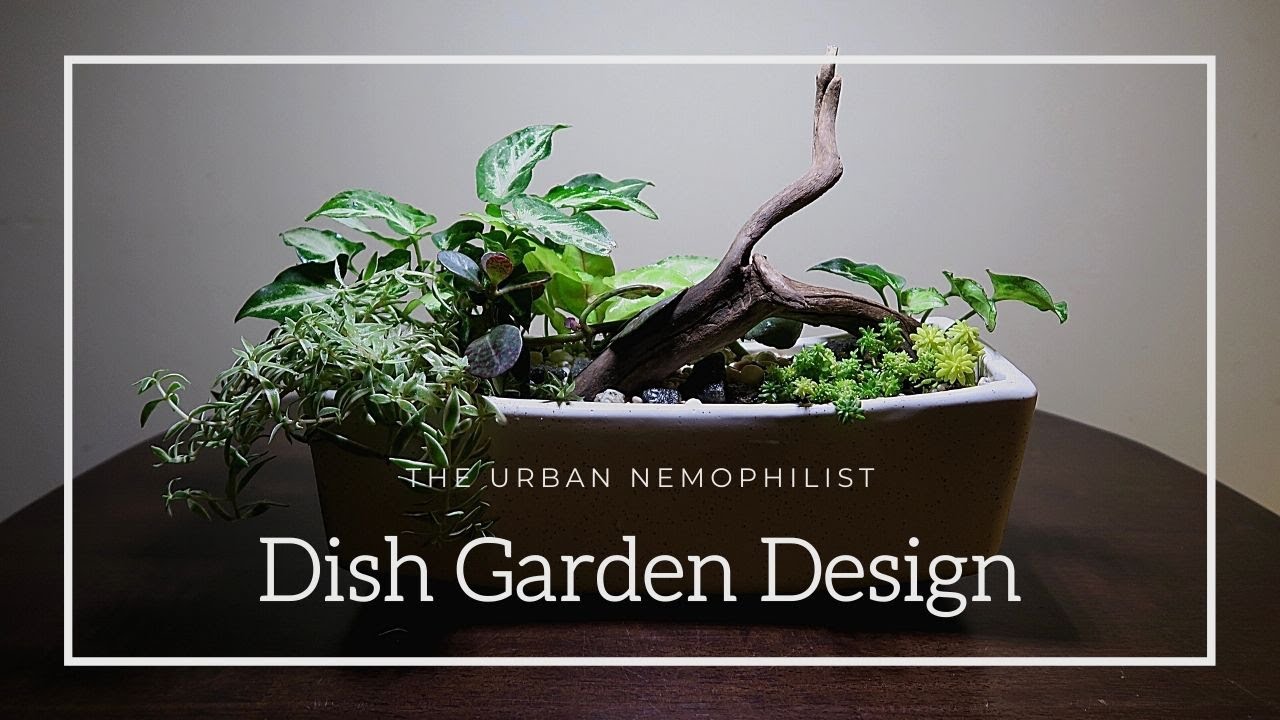 Dish Garden Design | How to make a beautiful miniature landscape